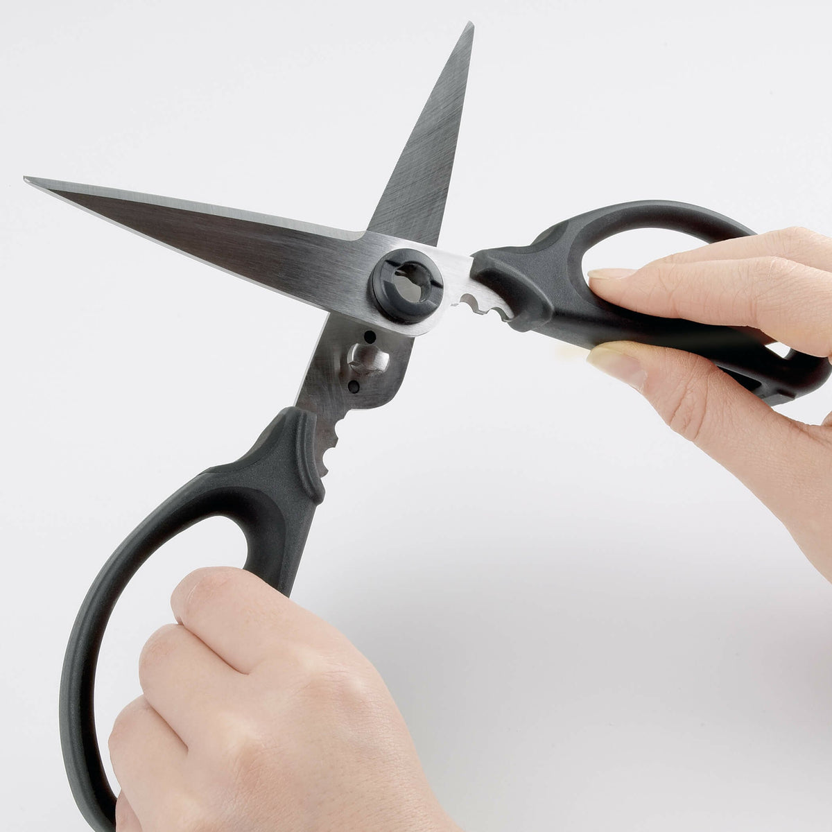 kitchen-and-herb-scissors-w5 gg_1072121_4_1_.jpg