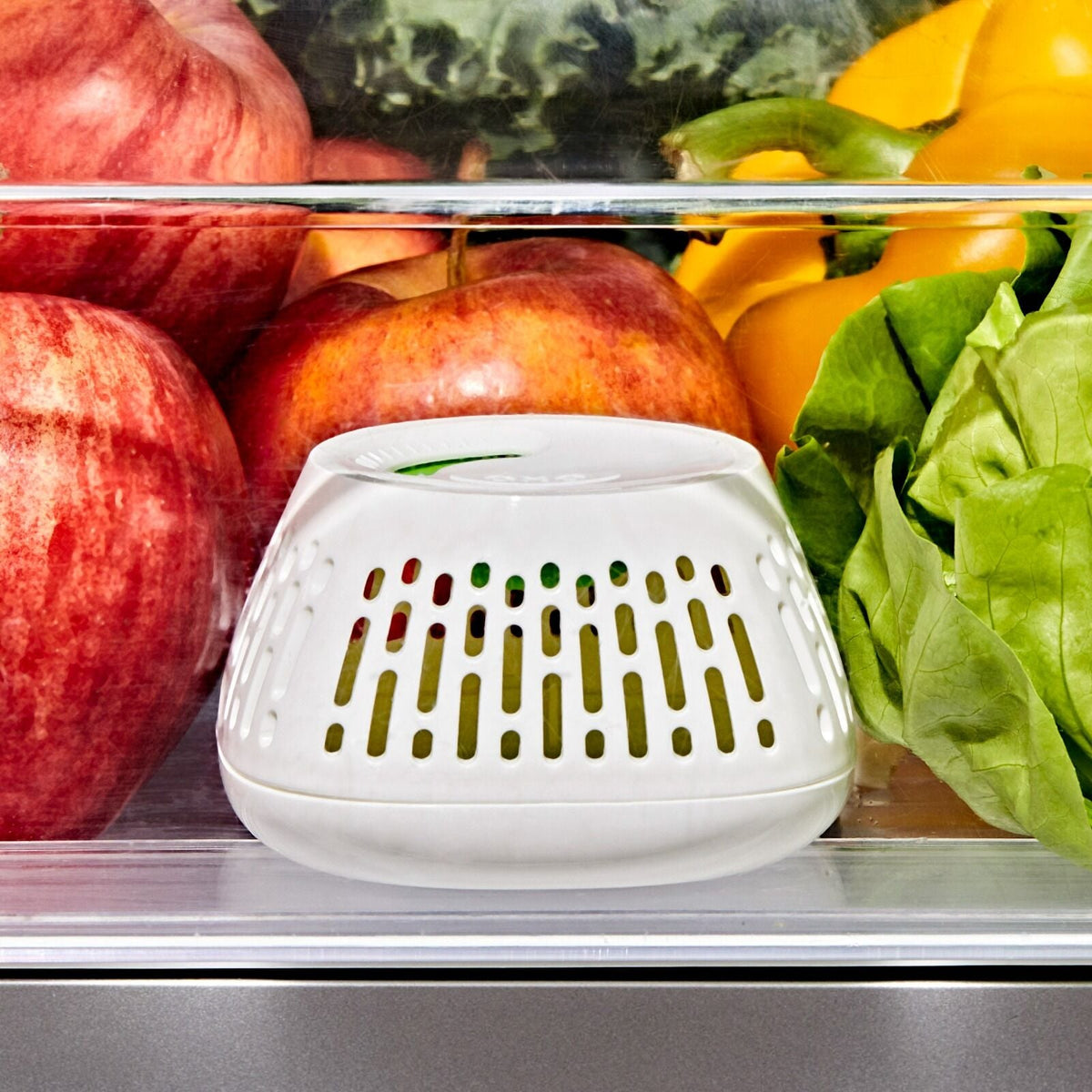 produce-saver-crisper-drawer-insert-2-pack-q4 gg_11427700_greensaver-crisper-drawer-insert_pdp_02.jpeg
