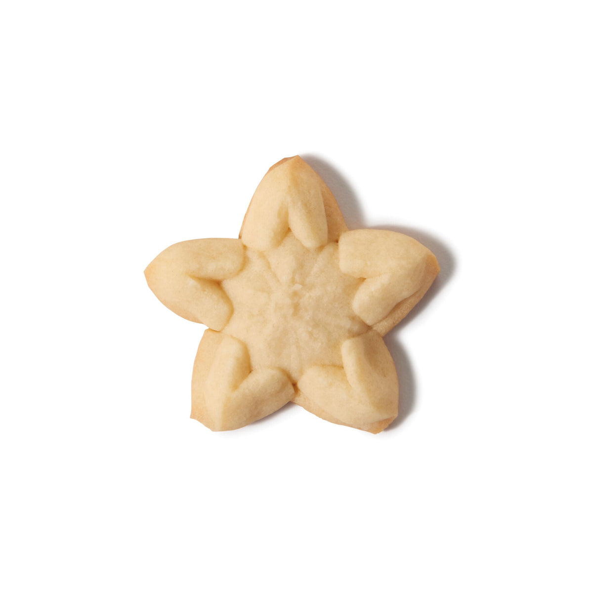 christmas-cookie-press-disk-set-r0 11177800_6_-star.jpg
