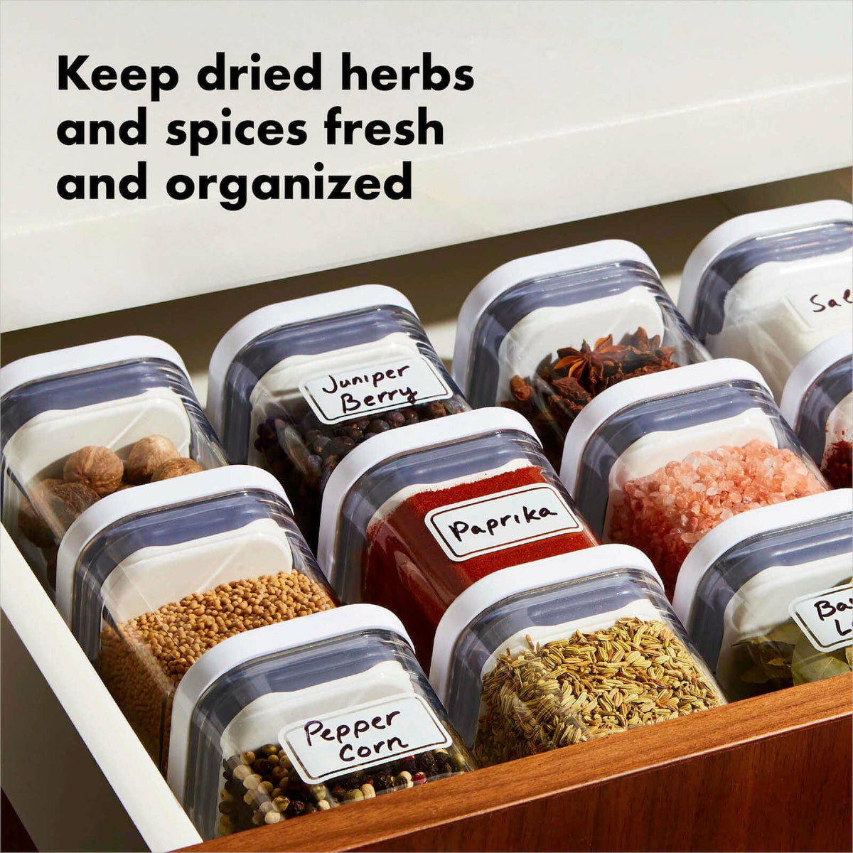 pop-4-piece-mini-container-set-l6 4_pieceaplusartboard_1-100_1_1_.jpg