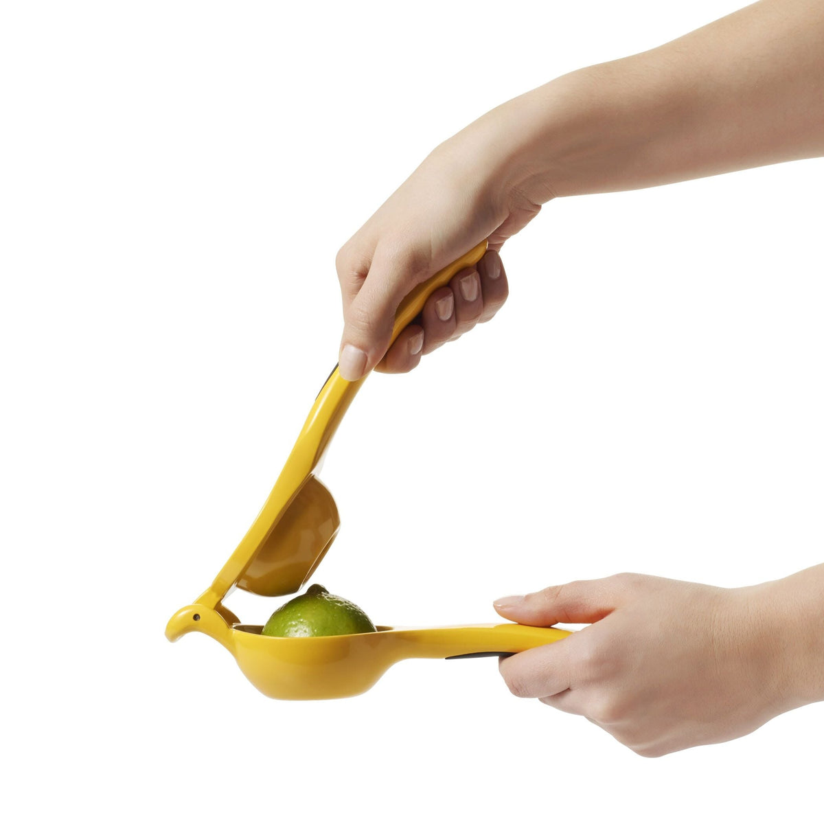 citrus-squeezer-c0 gg_1057962_4a.jpg