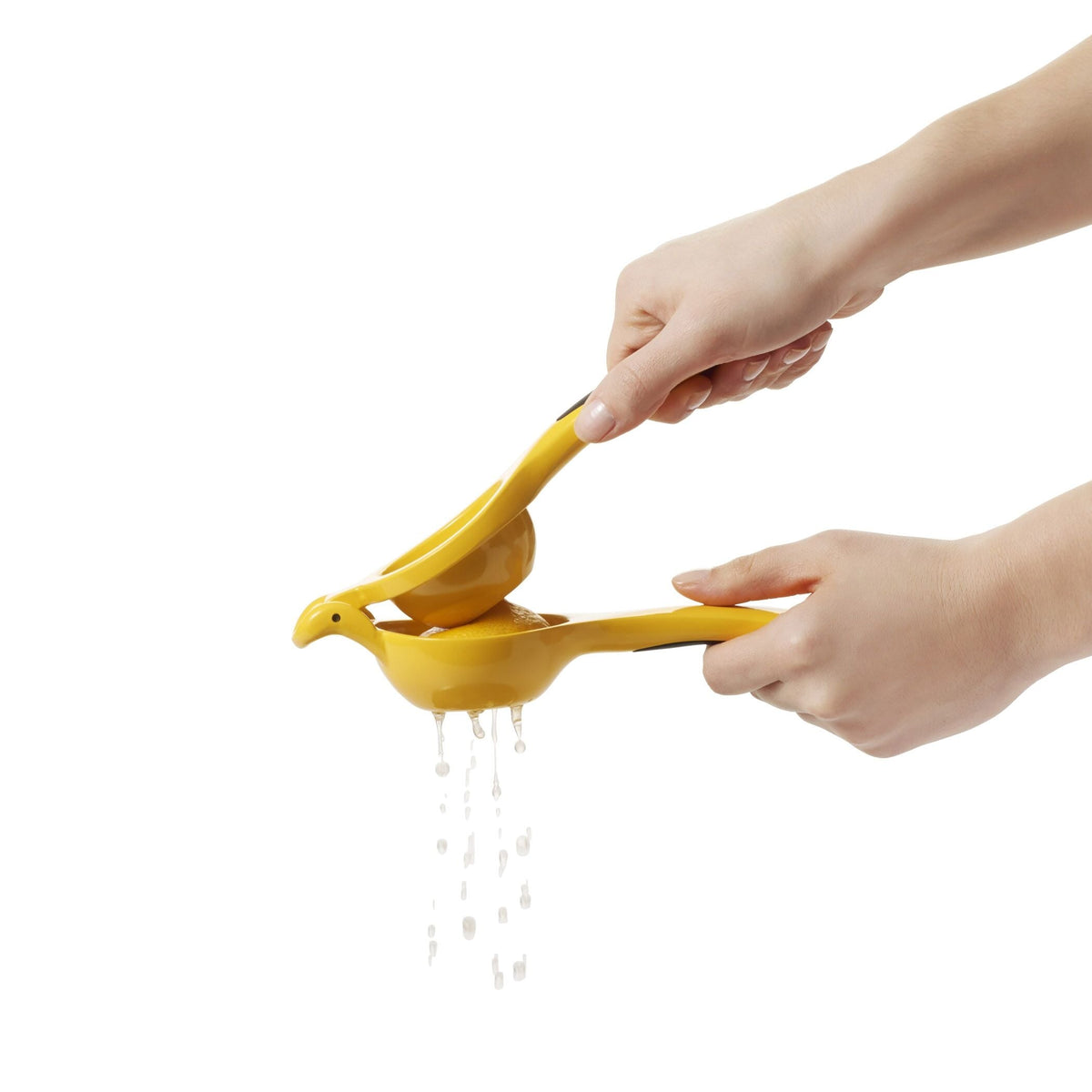 citrus-squeezer-c0 gg_1057962_4b.jpg