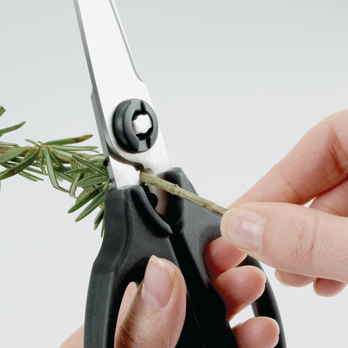 kitchen-and-herb-scissors-w5 gg_1072121_3_1_.jpg