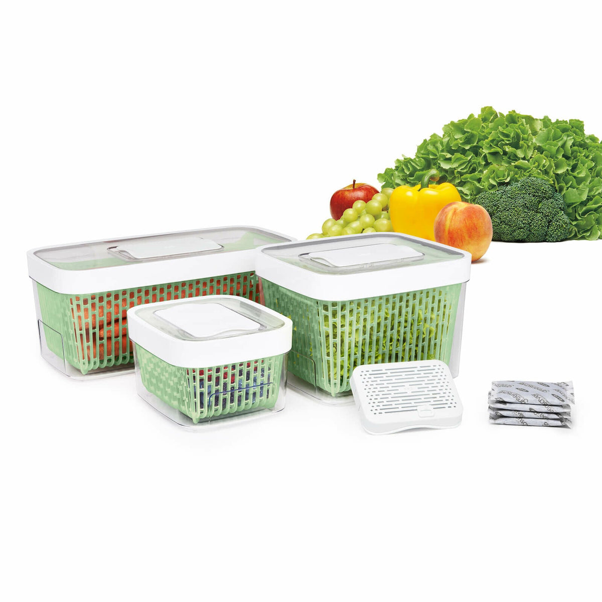 greensaver-produce-keeper-4-3-qt-z8 gg_11140000_1b_1_.jpg