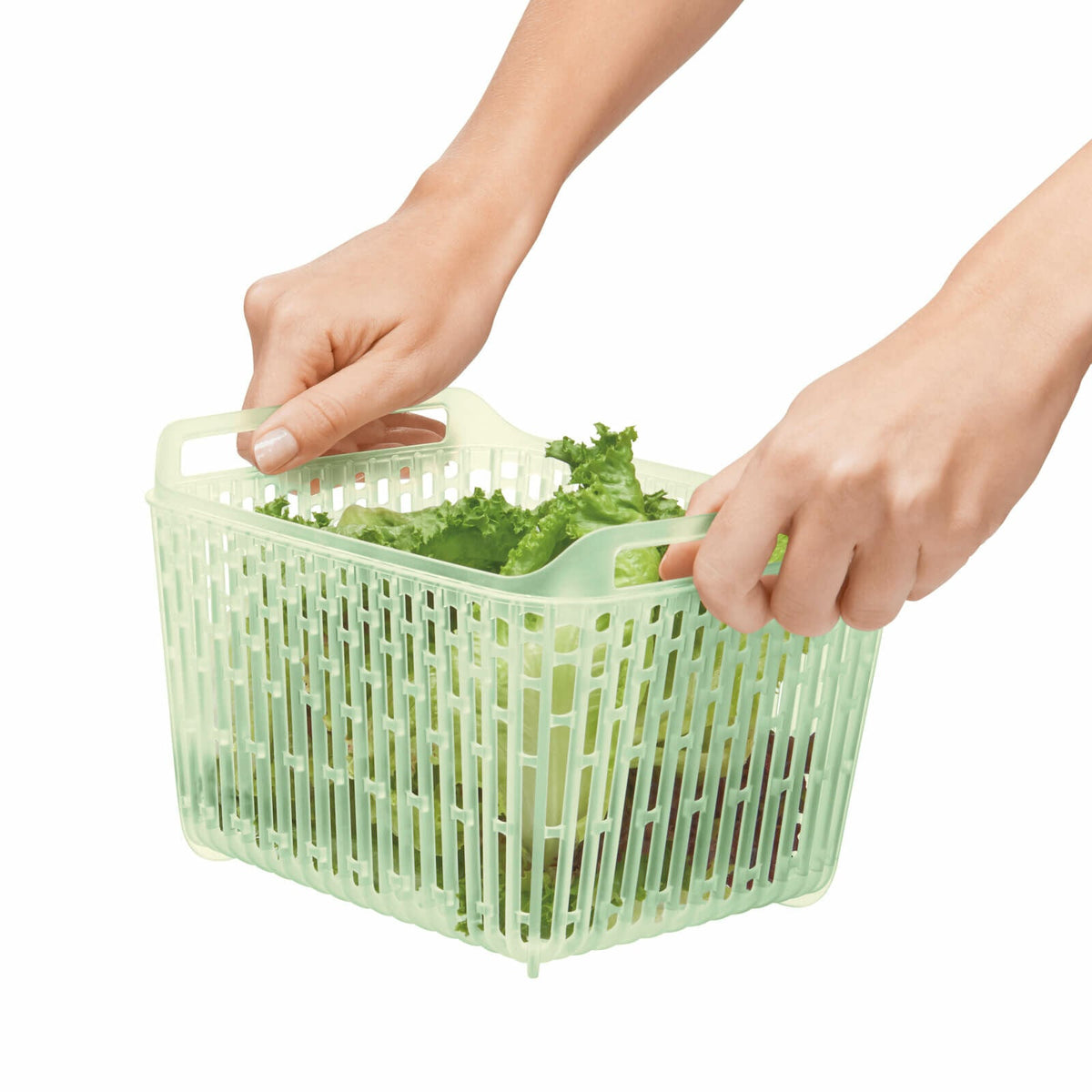 greensaver-produce-keeper-4-3-qt-z8 gg_11140000_4c_1_.jpg