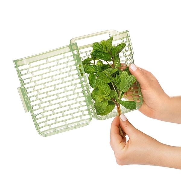 greensaver-herb-keeper-small-g4 gg_11212200_4.jpg