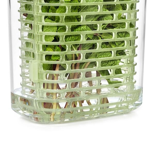 greensaver-herb-keeper-small-g4 gg_11212200_7.jpg