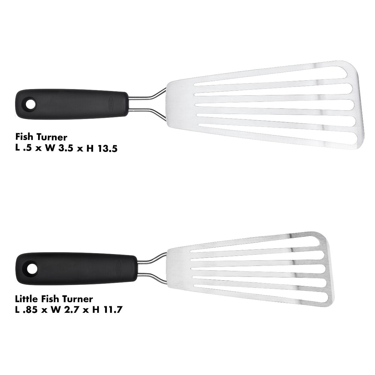 fish-turner-y0 gg_1130900_8a.jpg