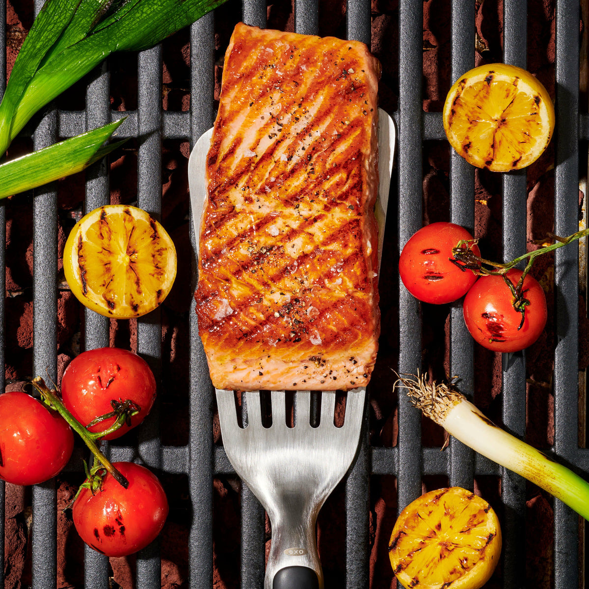 grilling-precision-turner-w6 gg_11309200_052020_11_rgb_1_.jpg