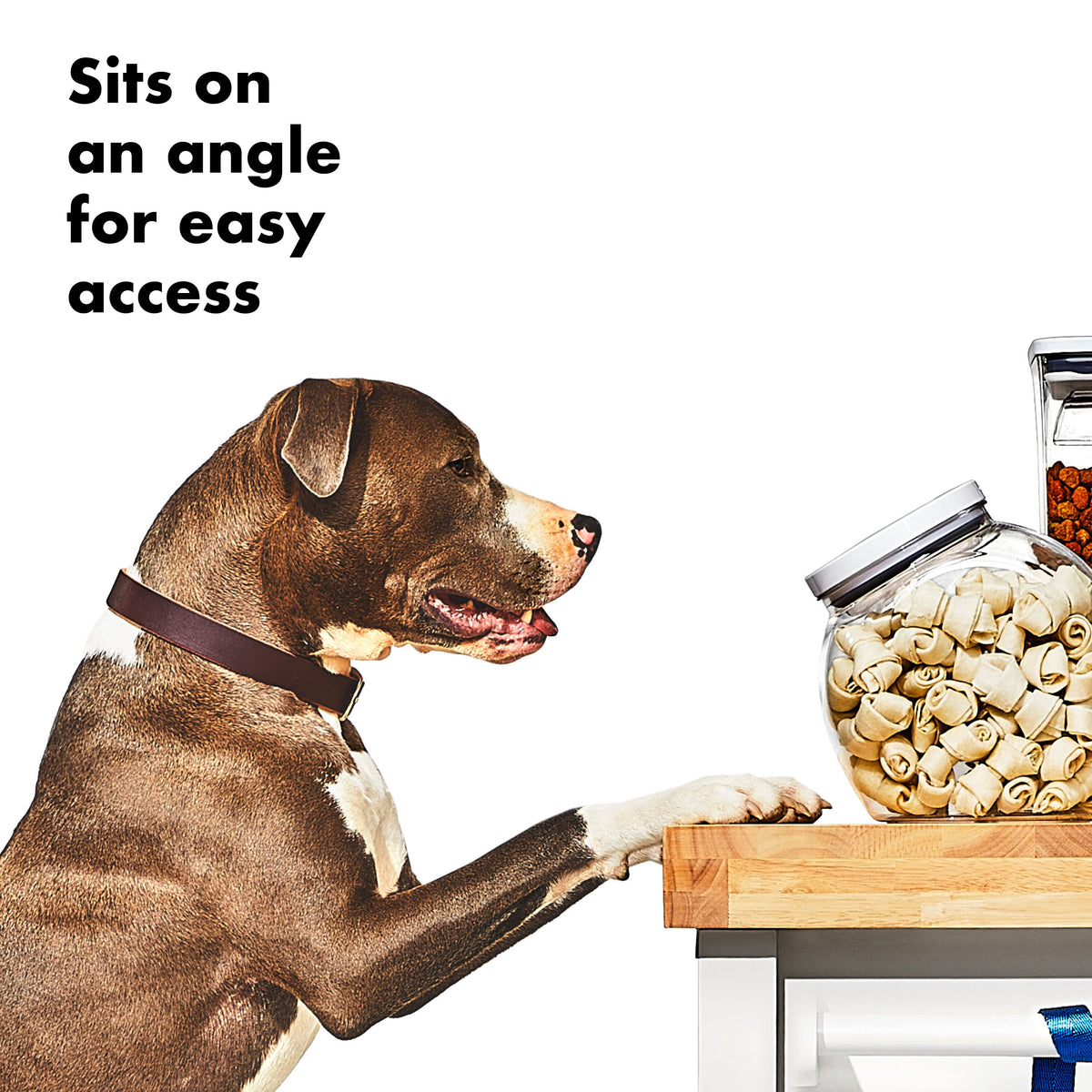 oxo-good-grips-pet-pop-container-3-0-qt-2-8-l-o2 gg_11332400_8b.jpg