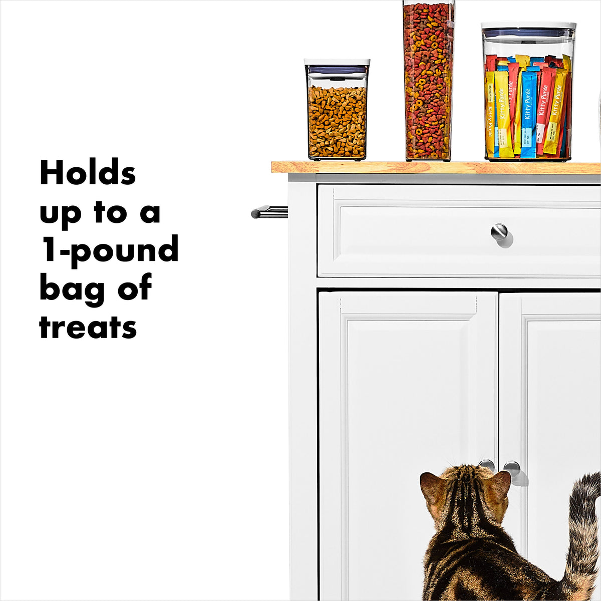 oxo-good-grips-pet-pop-container-1-1-qt-1-l-f1 gg_11332600_8.jpg