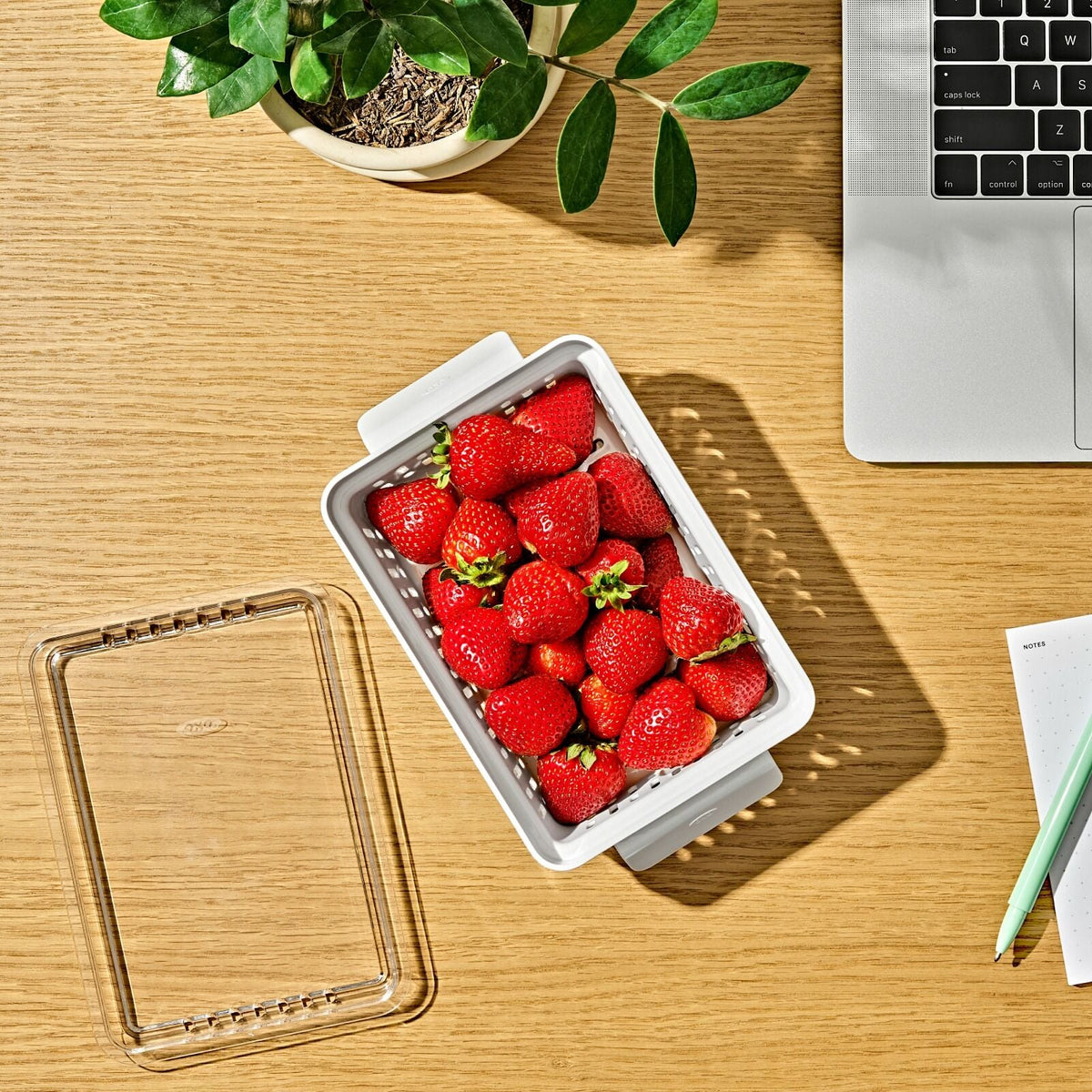 produce-saver-berry-keeper-2-piece-set-l3 gg_berry-keeper-produce-saver_pdp_01_1_.jpg