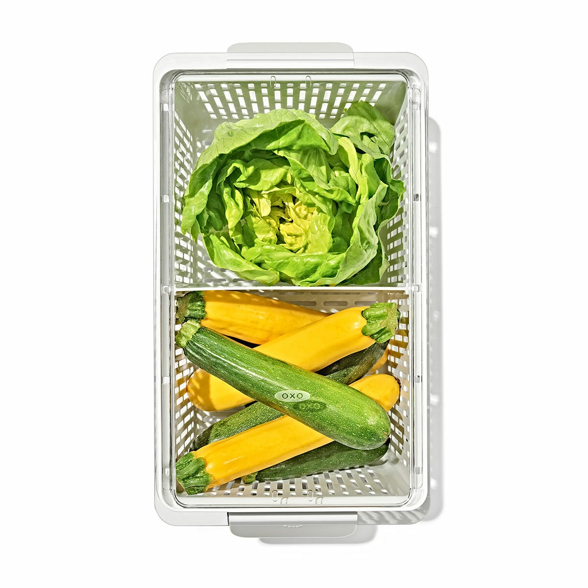 produce-saver-large-bin-u6 gg_sw_produce-saver-large_02.jpg