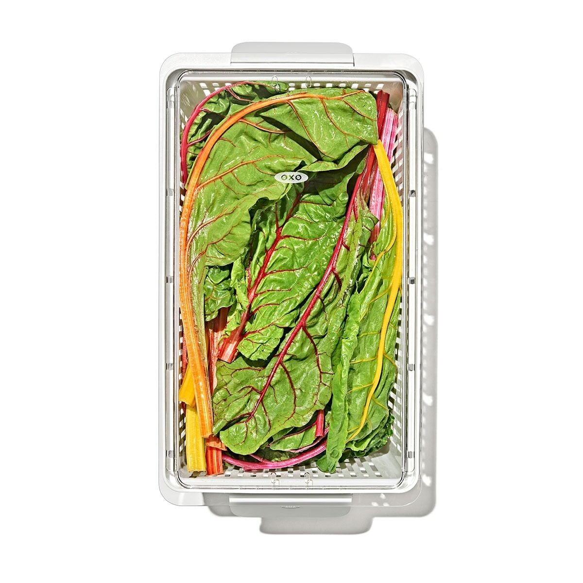 produce-saver-large-bin-u6 gg_sw_produce-saver-large_10.jpg