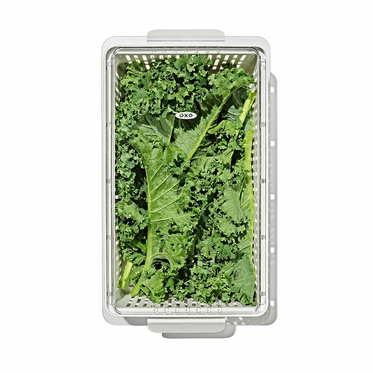 produce-saver-medium-bin-b3 gg_sw_produce-saver-medium_05.jpg