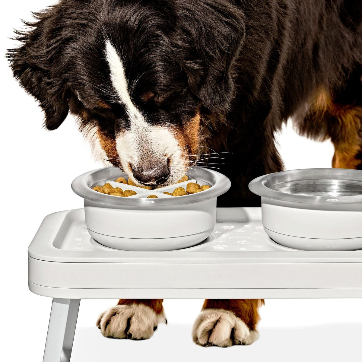 oxo-pet-easy-clean-slow-feeder-large-4-cups-950-ml-k6 pet_slow-feeder-medium-large_pdp_02.jpeg