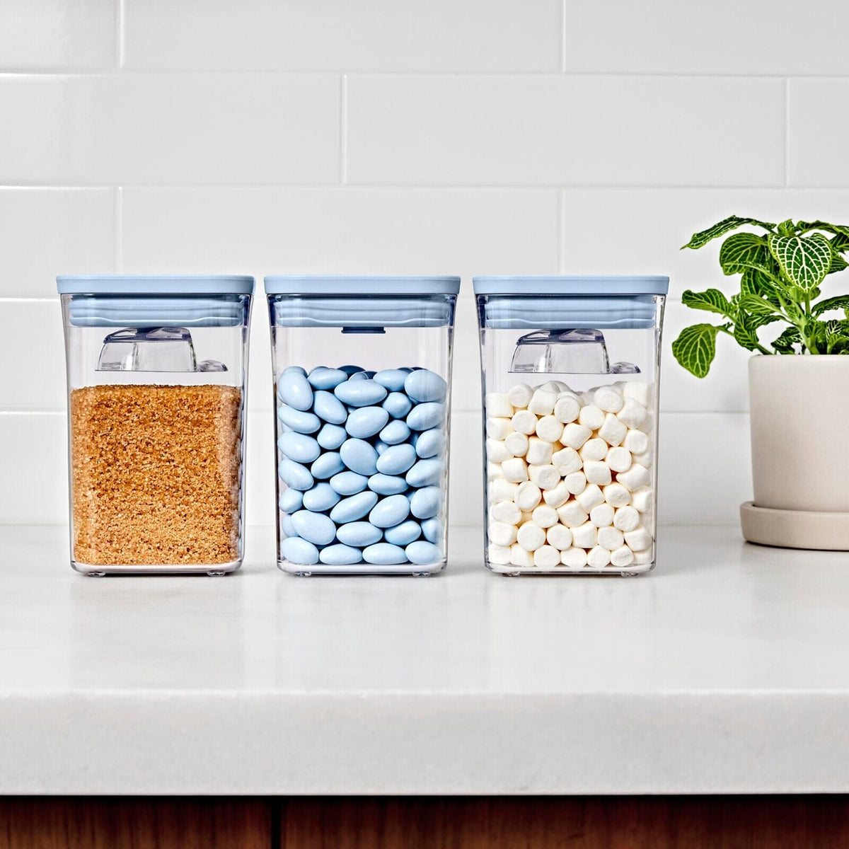 3-piece-pop-container-set-with-mini-scoops-t4 pop_3pc-set-sky-blue_pdp_02.jpg