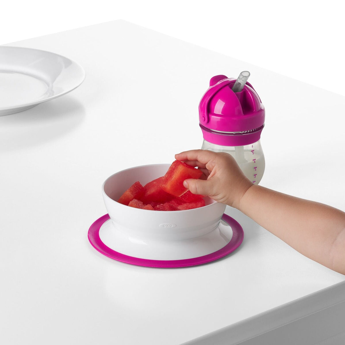 stick-and-stay-suction-bowl-a1 tot_61120500_4i.jpg