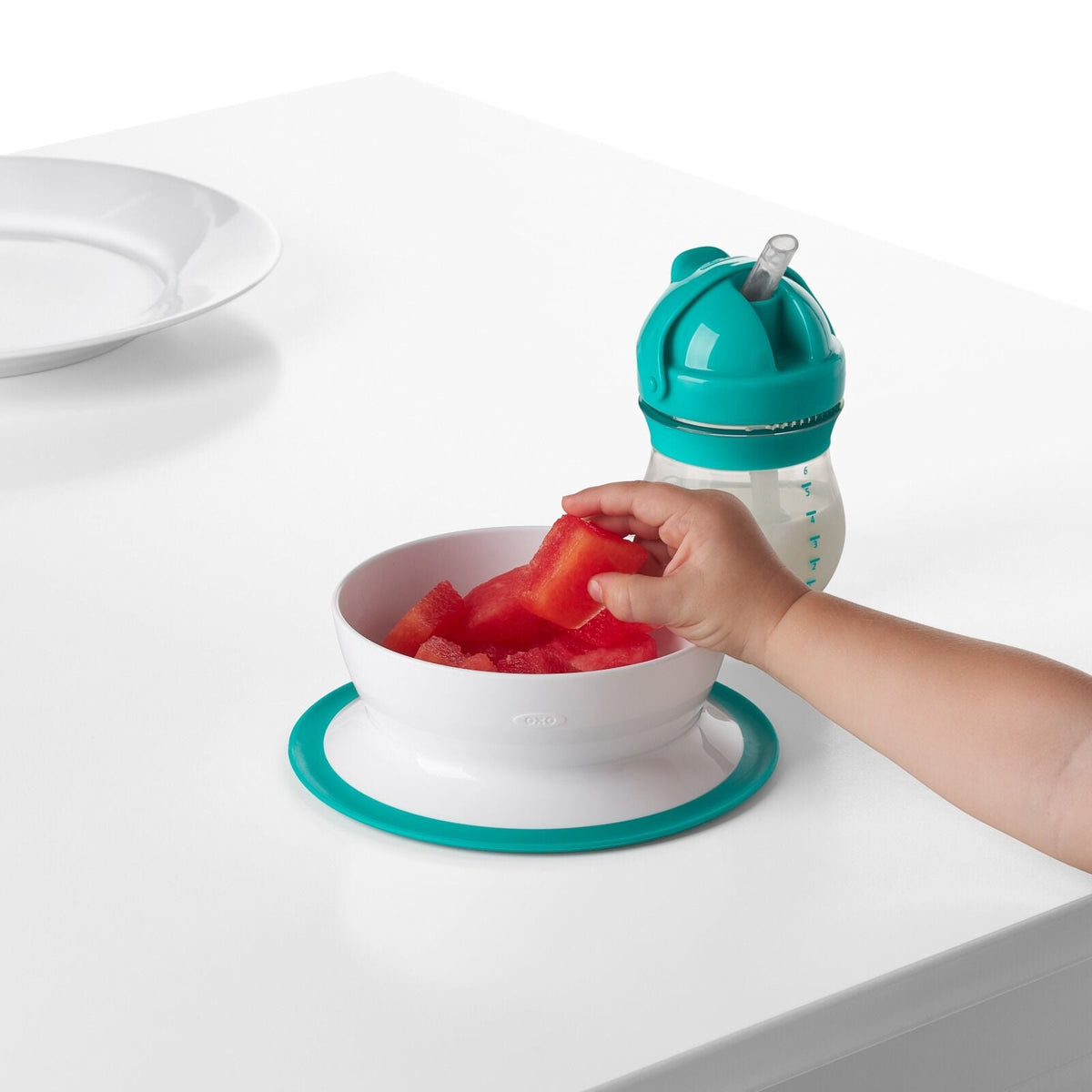 stick-and-stay-suction-bowl-e9 tot_61120600_4i.jpg